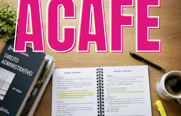 O que mais cai na ACAFE? As matérias e temas que você precisa priorizar