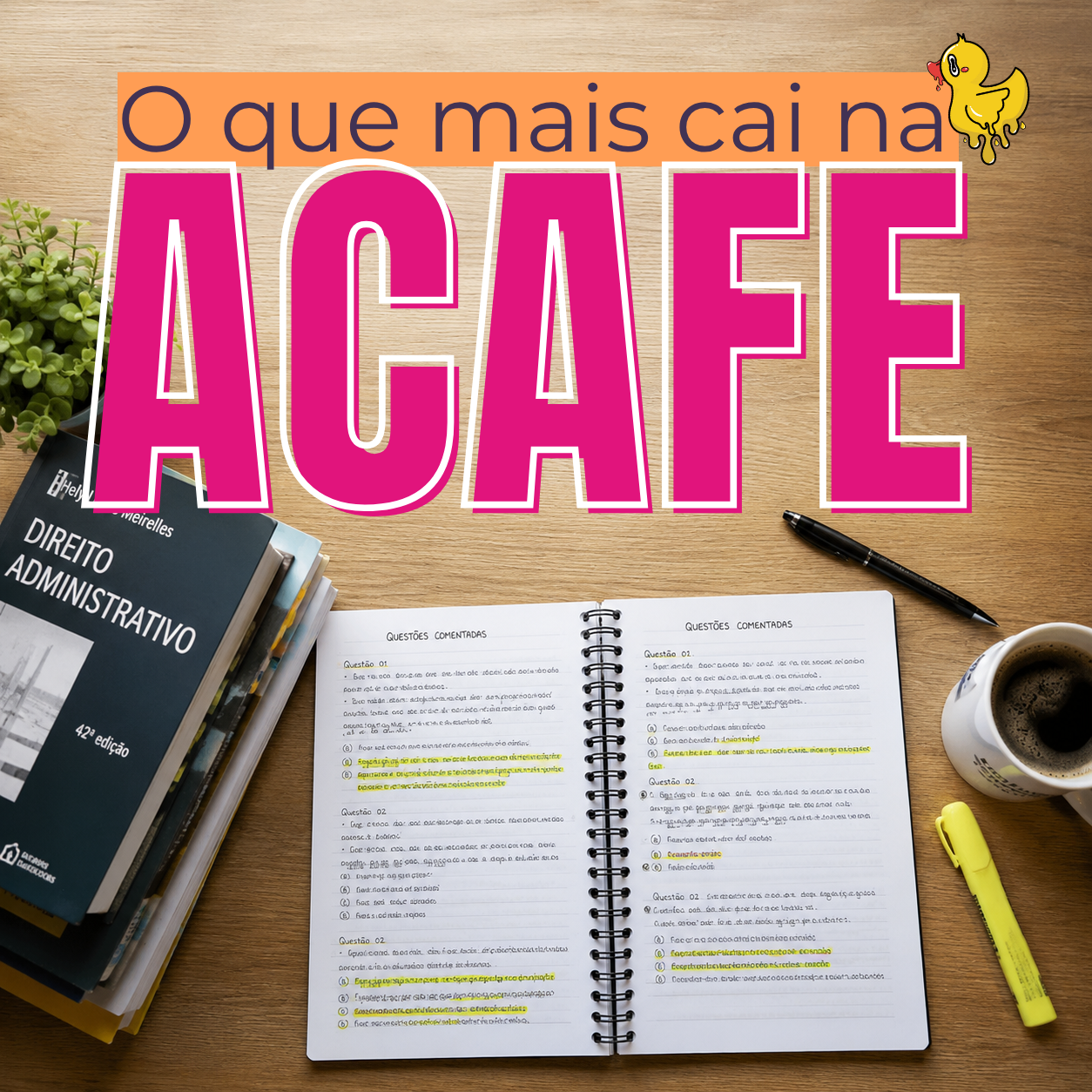 O que mais cai na ACAFE? As matérias e temas que você precisa priorizar